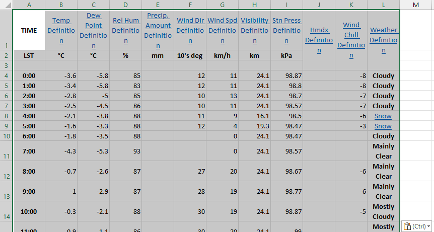 Raw Data in Excel