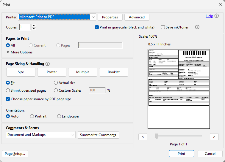 Adobe Acrobat Print Preview